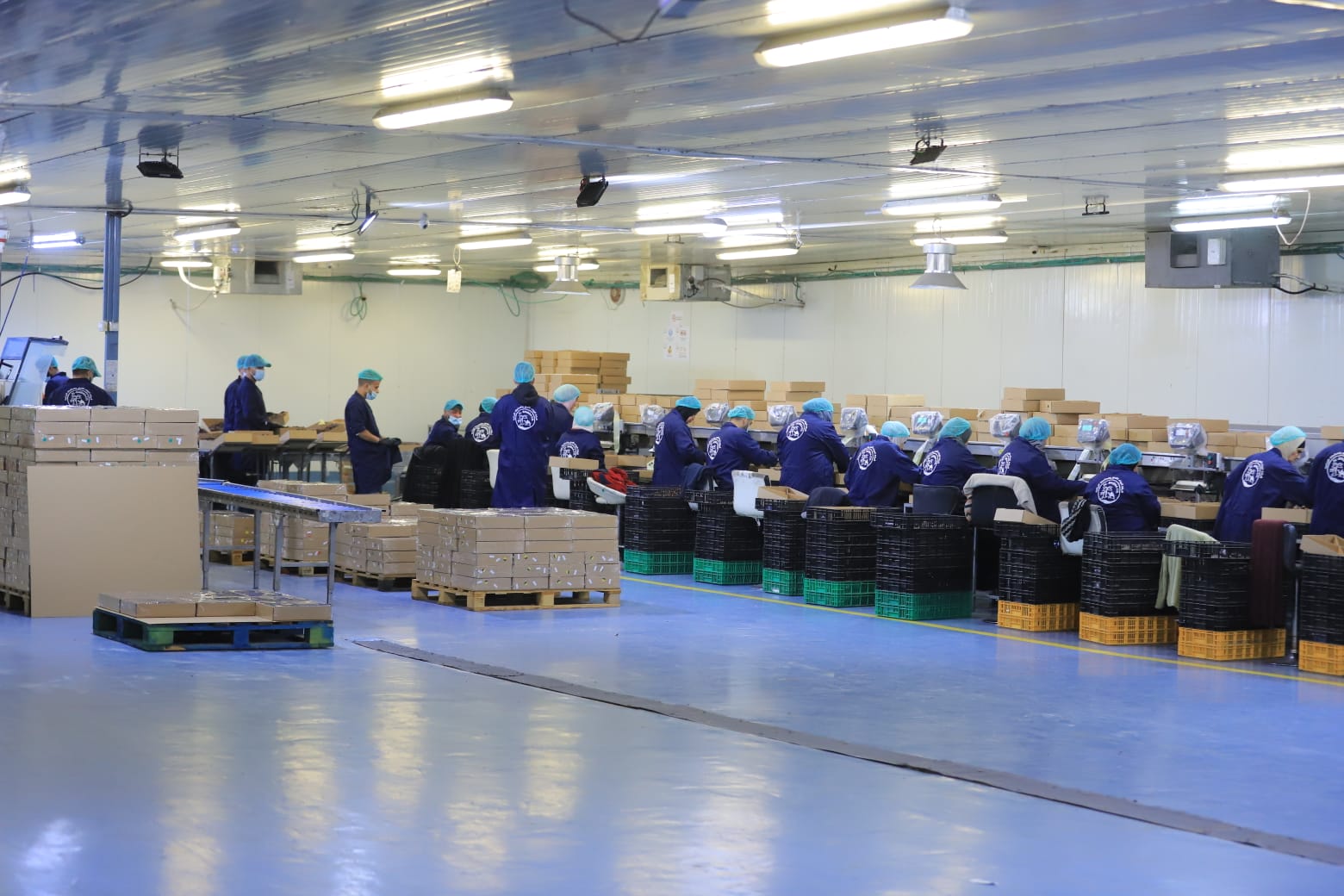 Palestinian date packing and processing facility